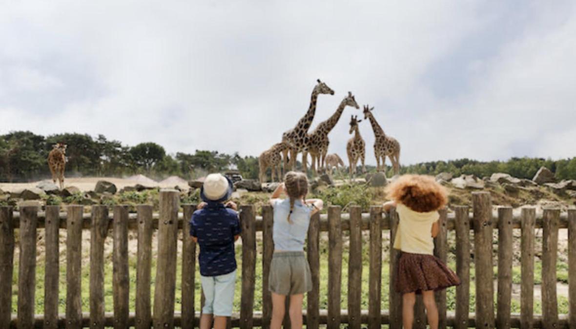 奥斯特韦克29, Natuurlijk Gelegen Nabij Efteling En Beekse Bergen, Airco & Prive Parkeren Inbegrepen!别墅 外观 照片