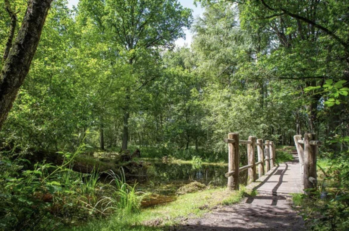29, Natuurlijk Gelegen Nabij Efteling En Beekse Bergen, Airco & Prive Parkeren Inbegrepen! 奥斯特韦克 外观 照片
